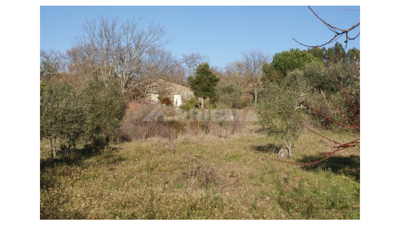 Terreno para Venda em Penamacor Foto 39