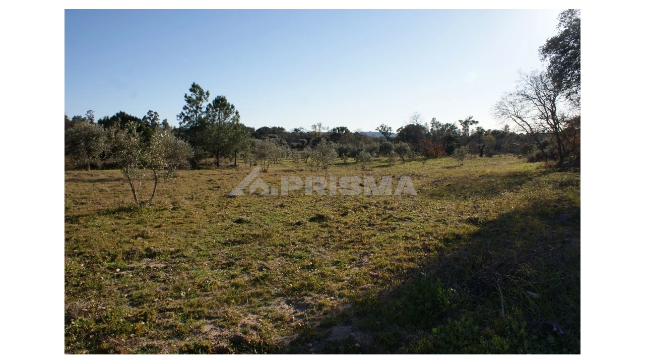 Terreno para Venda em Penamacor Foto 20