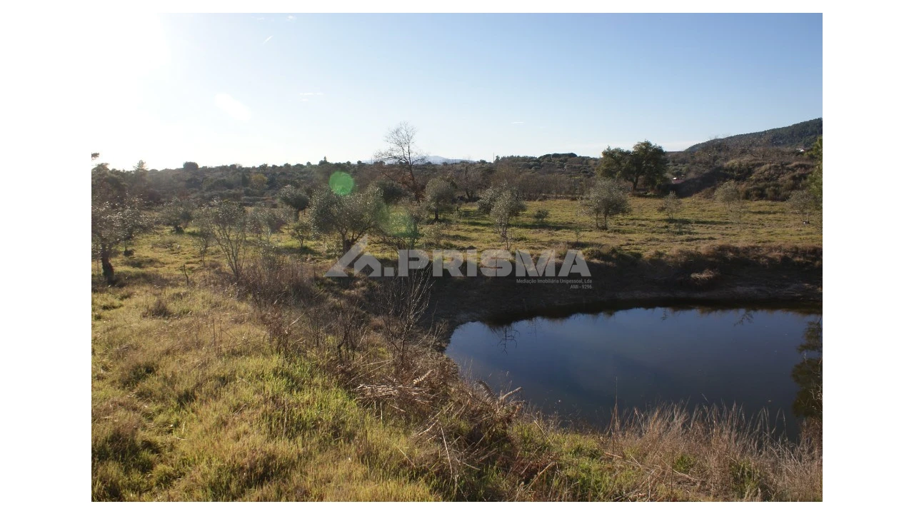 Terreno para Venda em Penamacor Foto 34