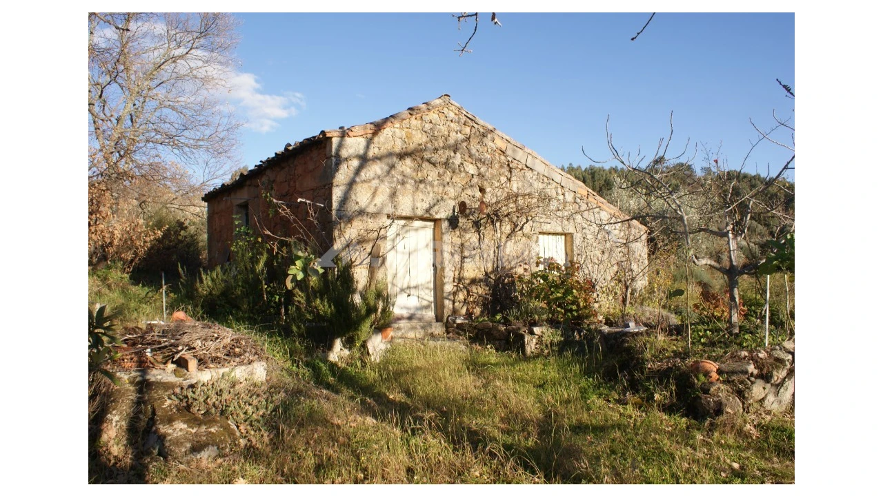 Terreno para Venda em Penamacor Foto 32