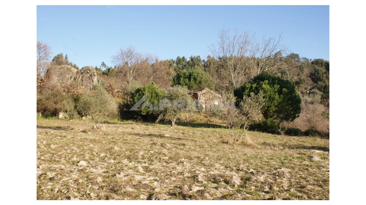 Terreno para Venda em Penamacor Foto 42