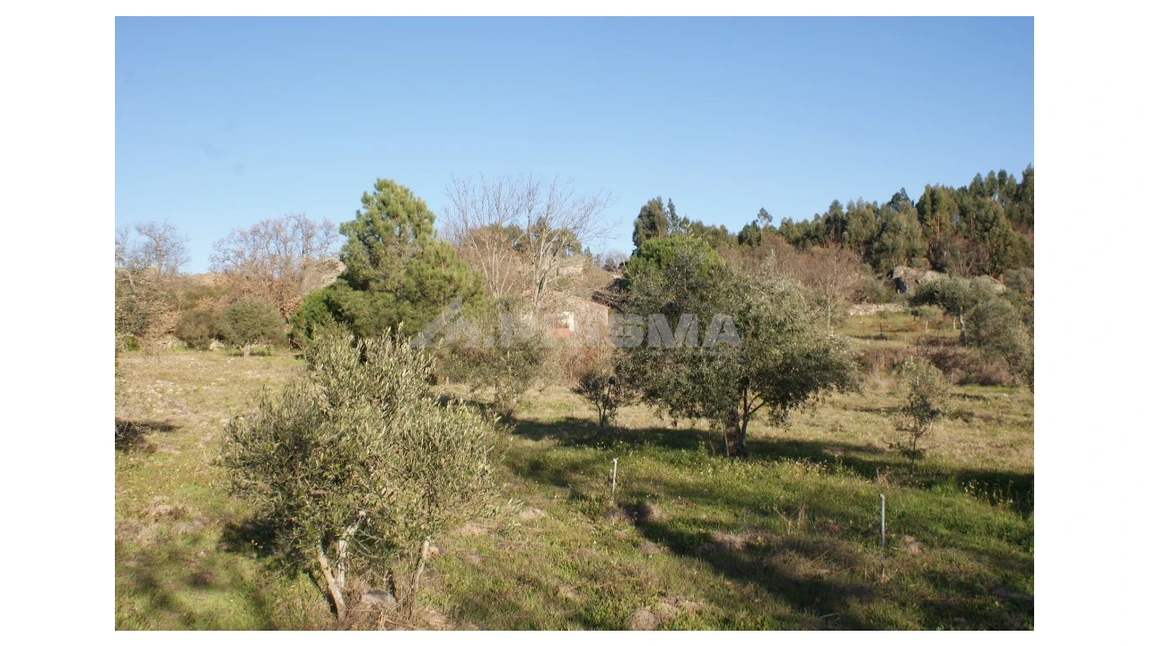Terreno para Venda em Penamacor Foto 41