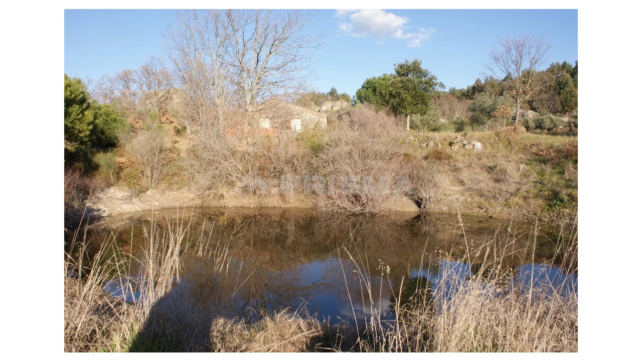 Terreno para Venda em Penamacor Foto 26
