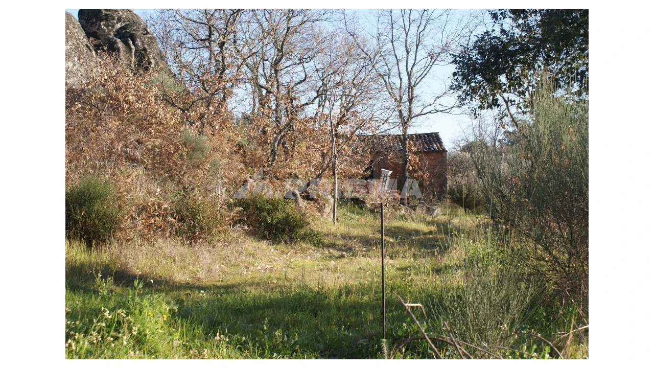Terreno para Venda em Penamacor Foto 43
