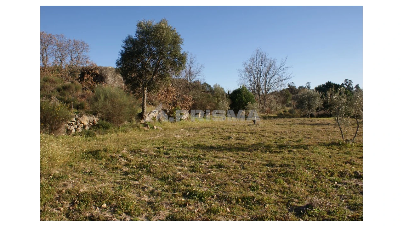 Terreno para Venda em Penamacor Foto 21