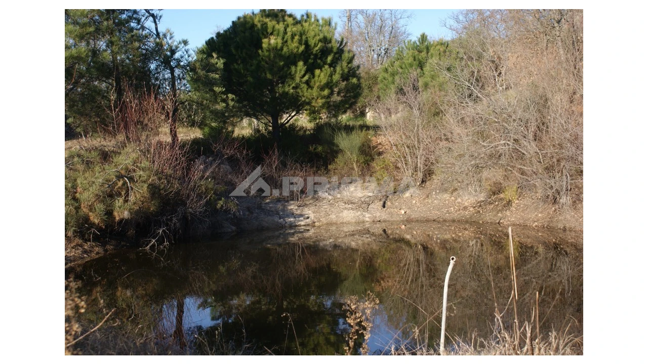 Terreno para Venda em Penamacor Foto 28