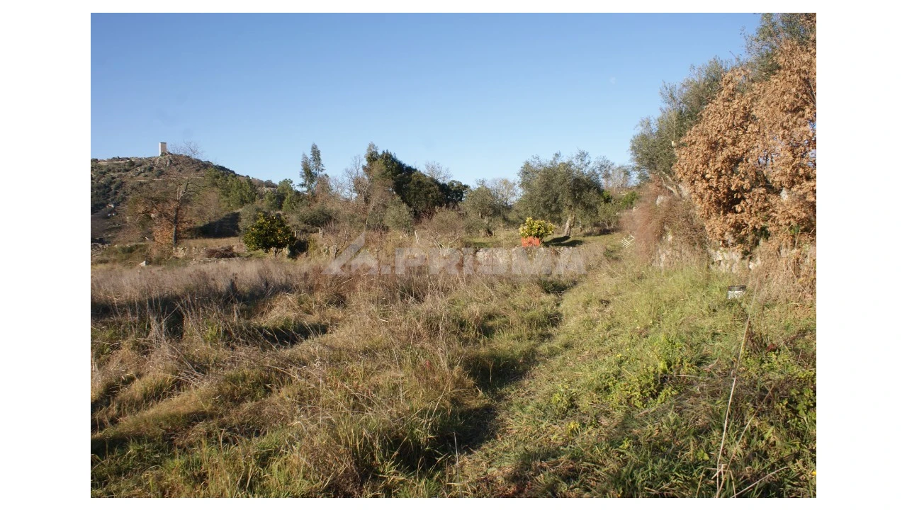 Terreno para Venda em Penamacor Foto 37