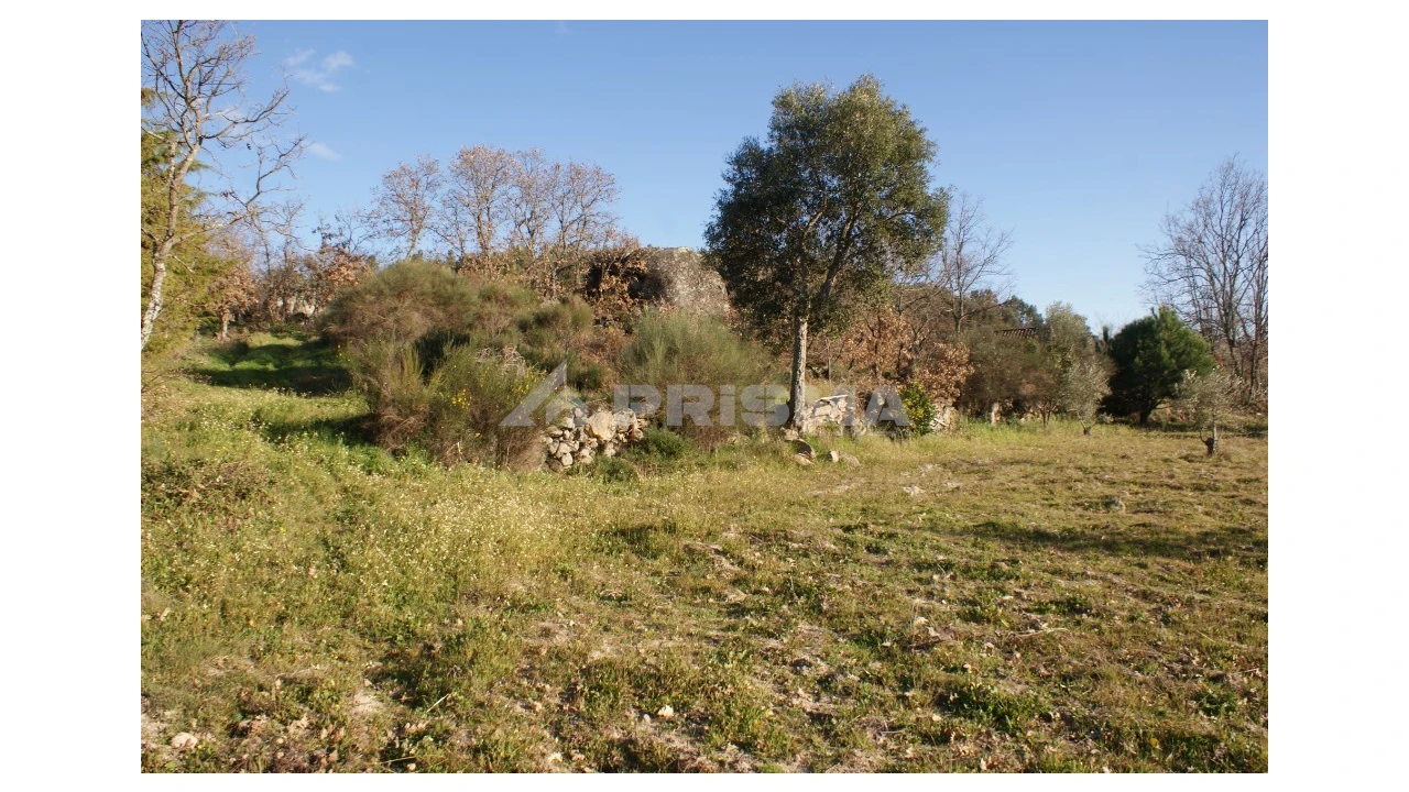 Terreno para Venda em Penamacor Foto 22