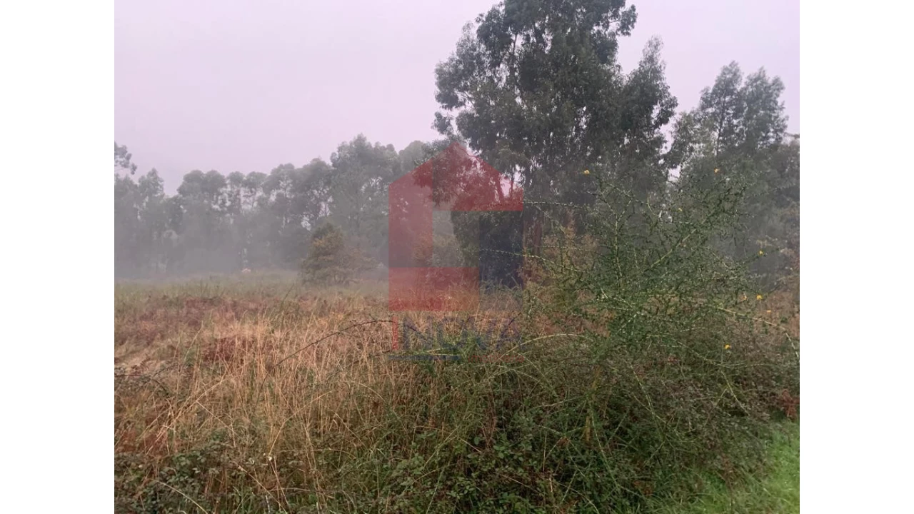Terreno para Venda em Covelas Foto 4