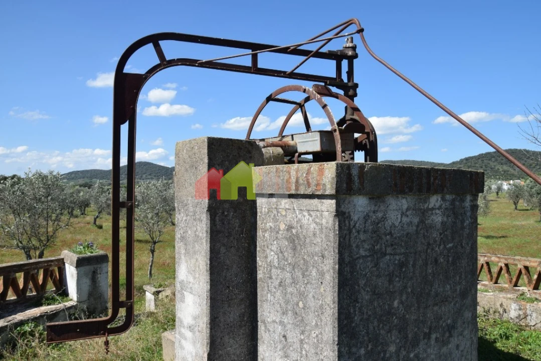 Quinta T3 para Venda em Santiago do Escoural Foto 37