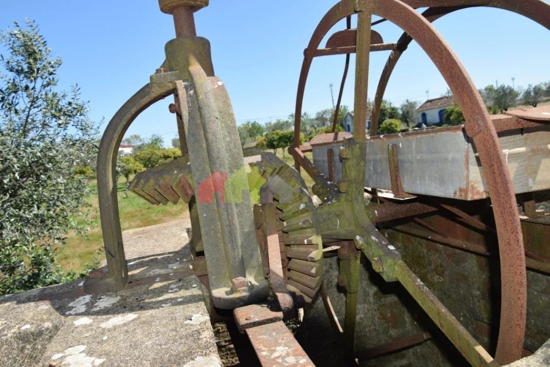 Quinta T3 para Venda em Santiago do Escoural Foto 40