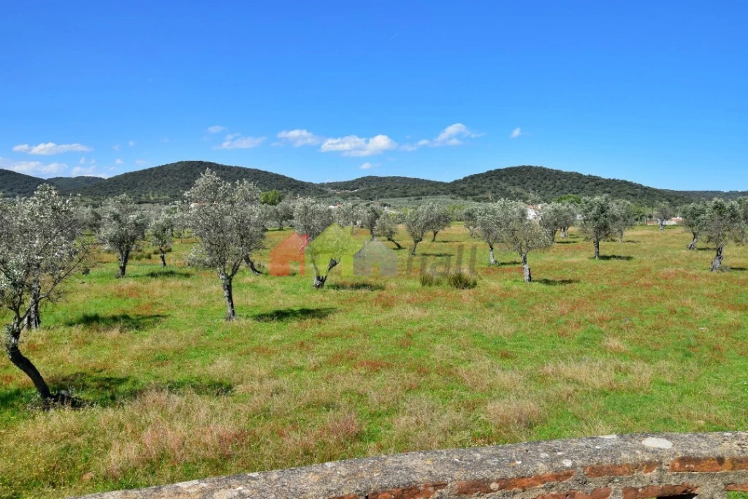 Quinta T3 para Venda em Santiago do Escoural Foto 42