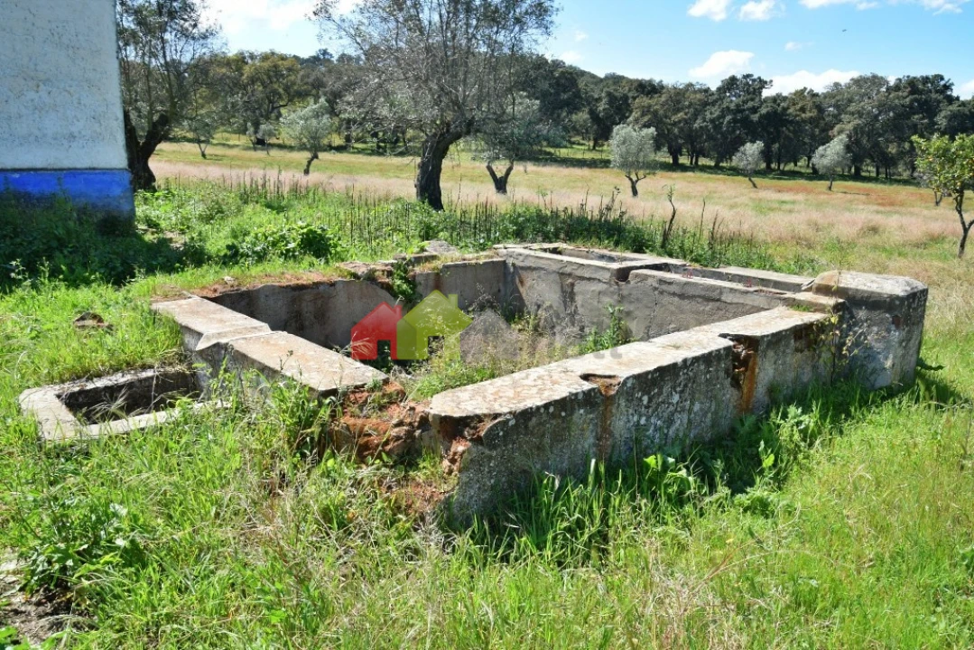 Quinta T3 para Venda em Santiago do Escoural Foto 24