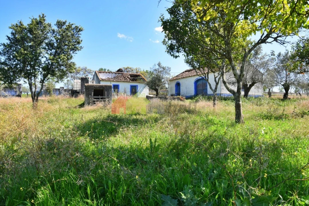 Quinta T3 para Venda em Santiago do Escoural Foto 11