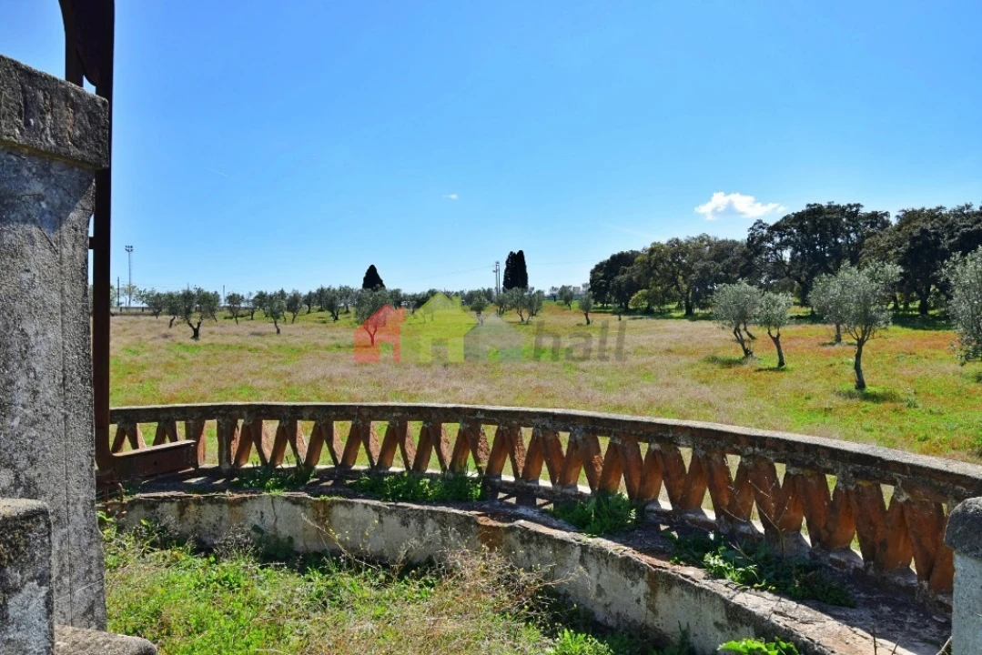 Quinta T3 para Venda em Santiago do Escoural Foto 43