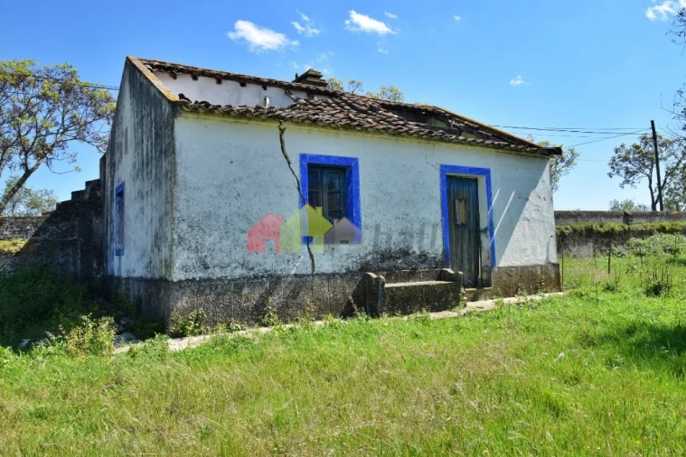 Quinta T3 para Venda em Santiago do Escoural Foto 5