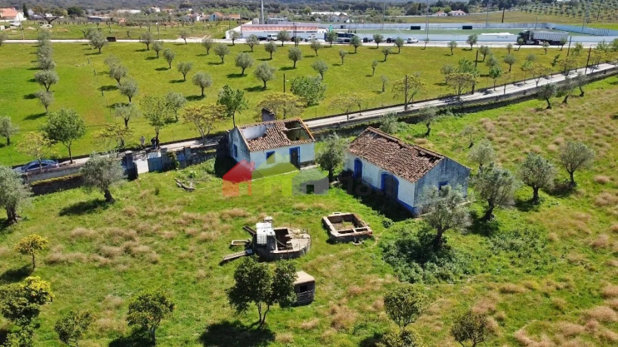 Quinta T3 para Venda em Santiago do Escoural Foto 13