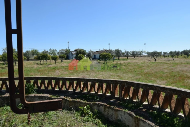 Quinta T3 para Venda em Santiago do Escoural Foto 47