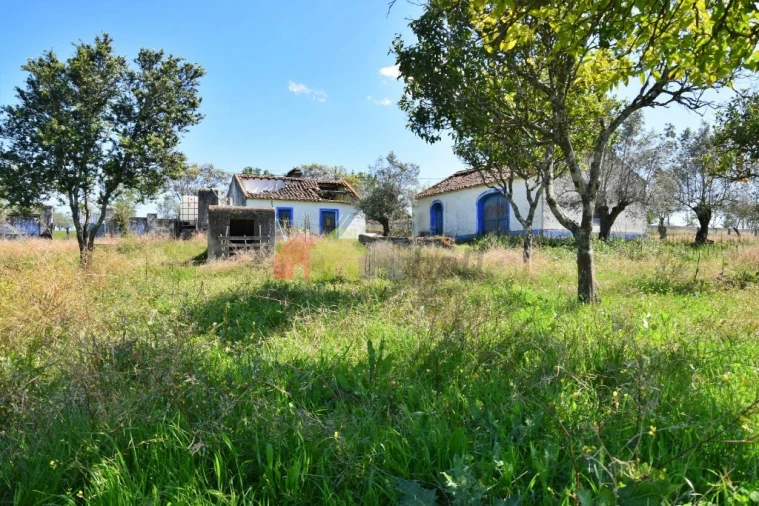 Quinta T3 para Venda em Santiago do Escoural Foto 11