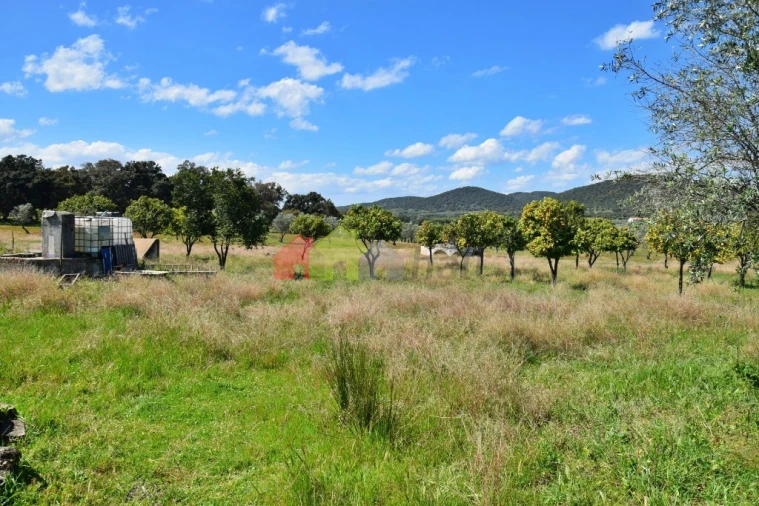 Quinta T3 para Venda em Santiago do Escoural Foto 21