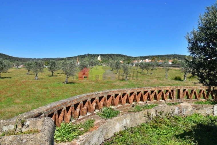 Quinta T3 para Venda em Santiago do Escoural Foto 44