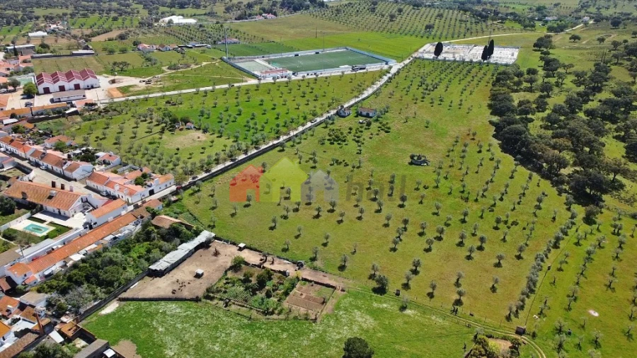 Quinta T3 para Venda em Santiago do Escoural Foto 54