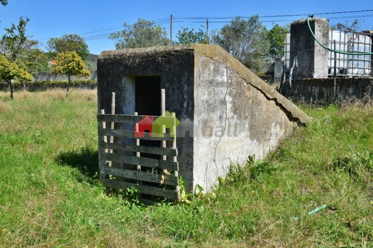 Quinta T3 para Venda em Santiago do Escoural Foto 26