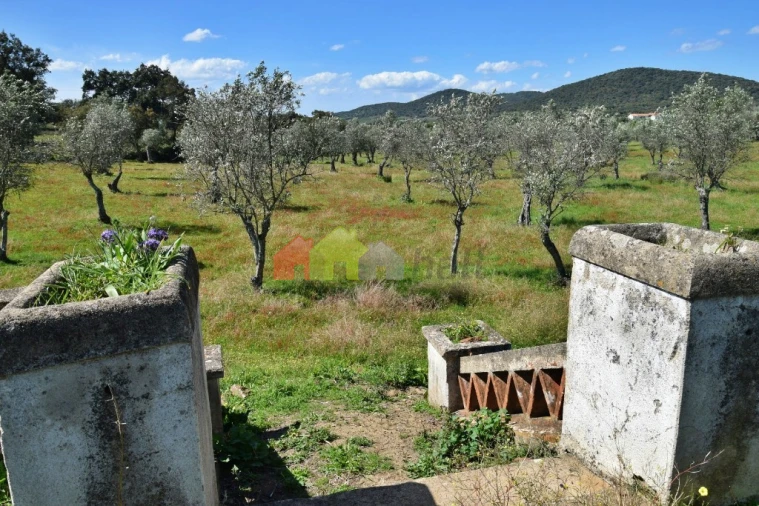 Quinta T3 para Venda em Santiago do Escoural Foto 46
