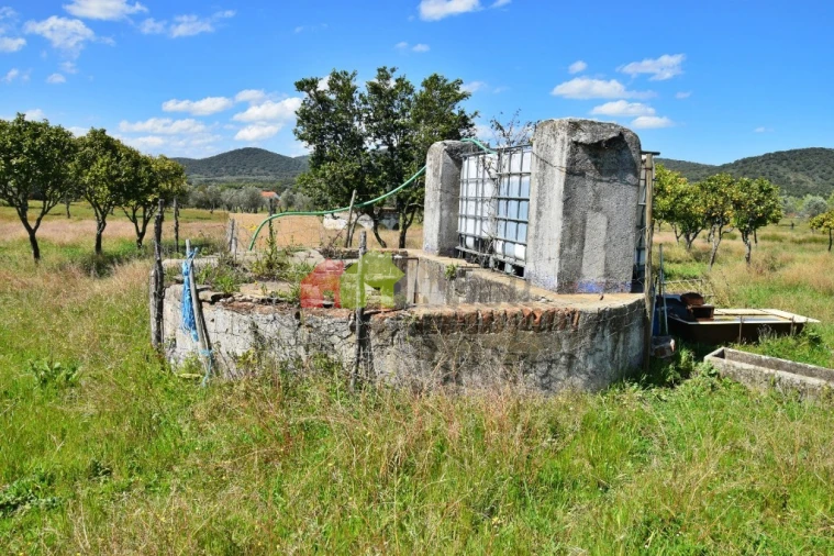 Quinta T3 para Venda em Santiago do Escoural Foto 23