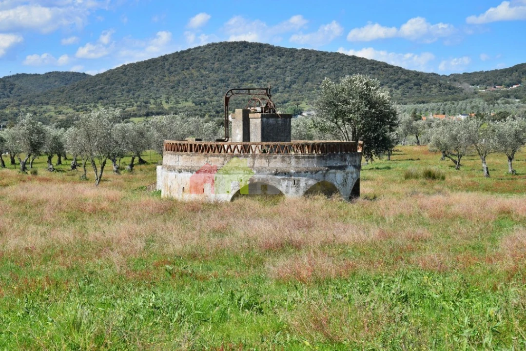 Quinta T3 para Venda em Santiago do Escoural Foto 28