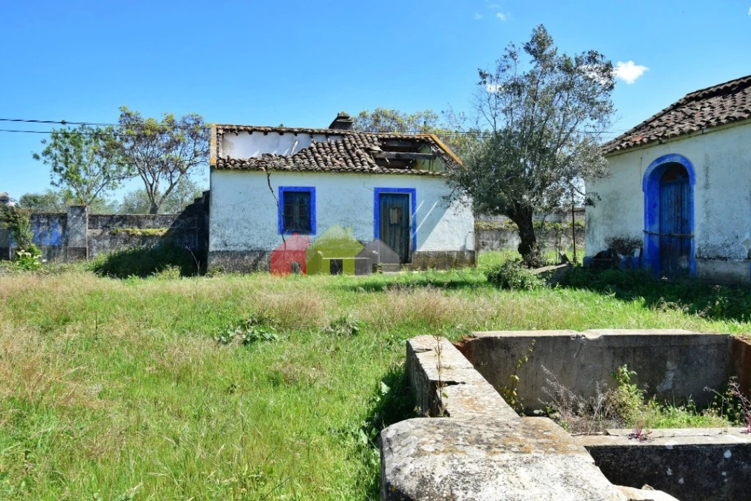 Quinta T3 para Venda em Santiago do Escoural Foto 7