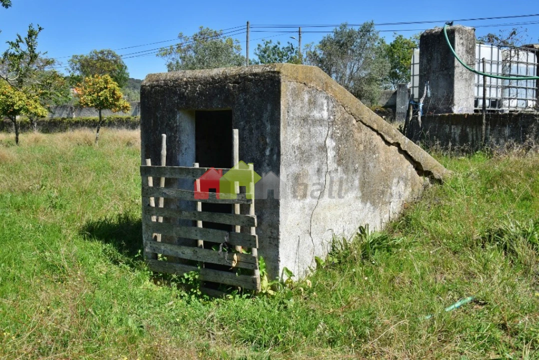 Quinta T3 para Venda em Santiago do Escoural Foto 26