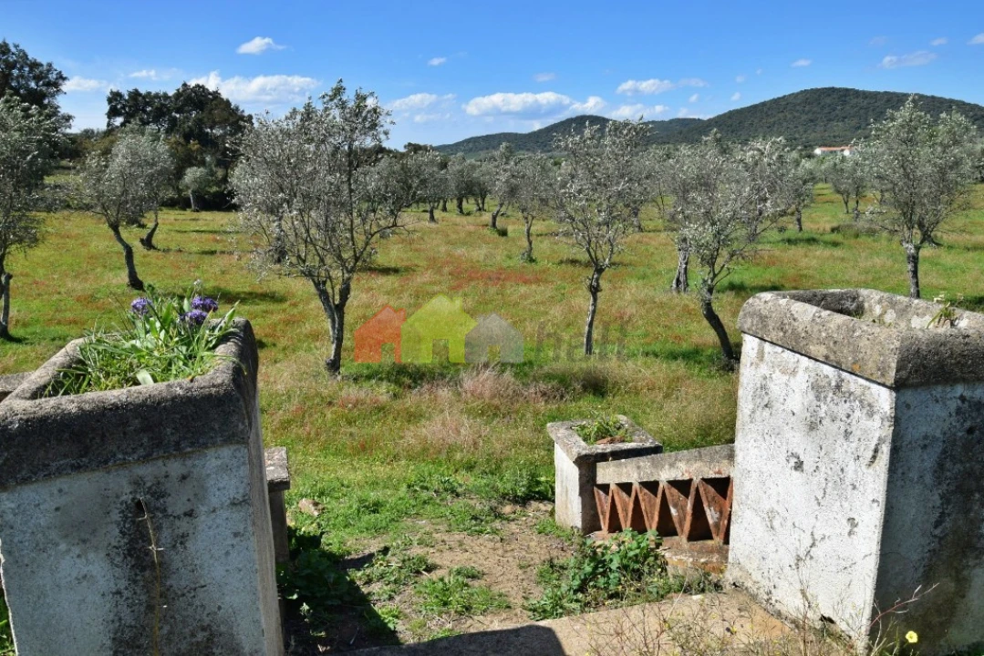 Quinta T3 para Venda em Santiago do Escoural Foto 46