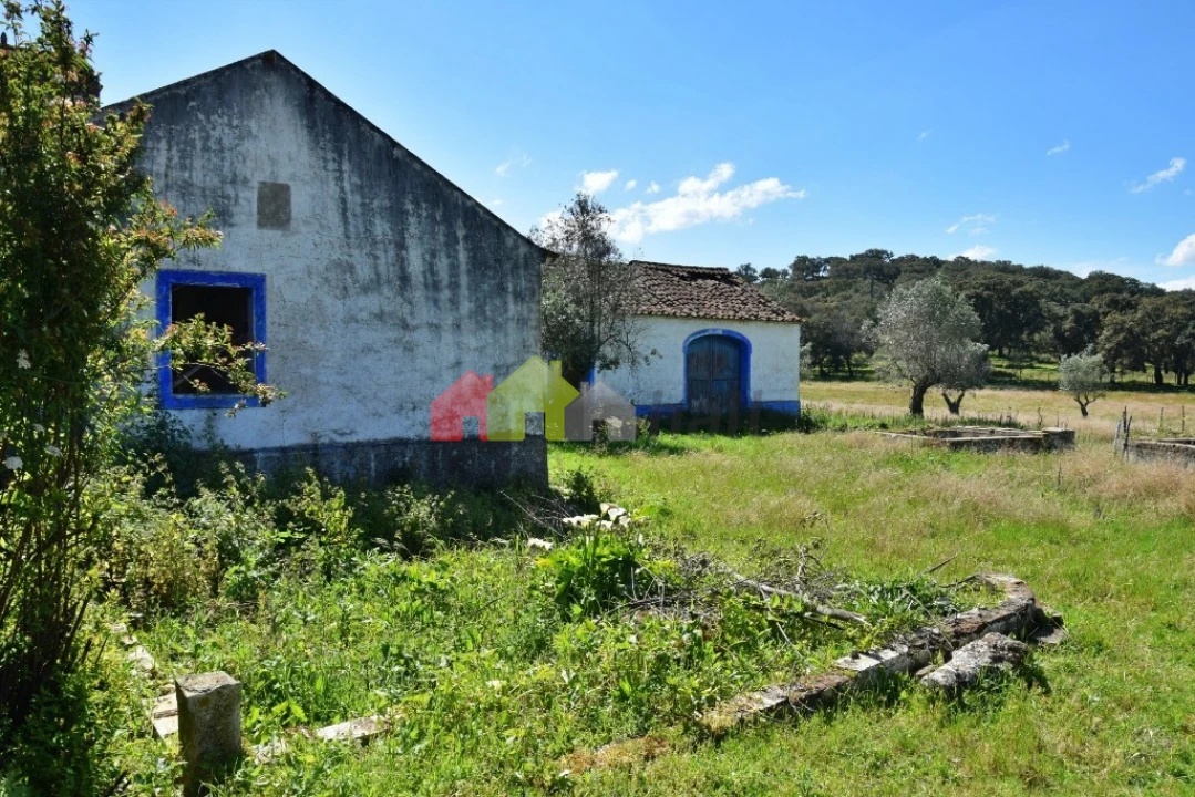 Quinta T3 para Venda em Santiago do Escoural Foto 4