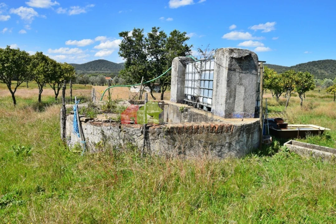 Quinta T3 para Venda em Santiago do Escoural Foto 23