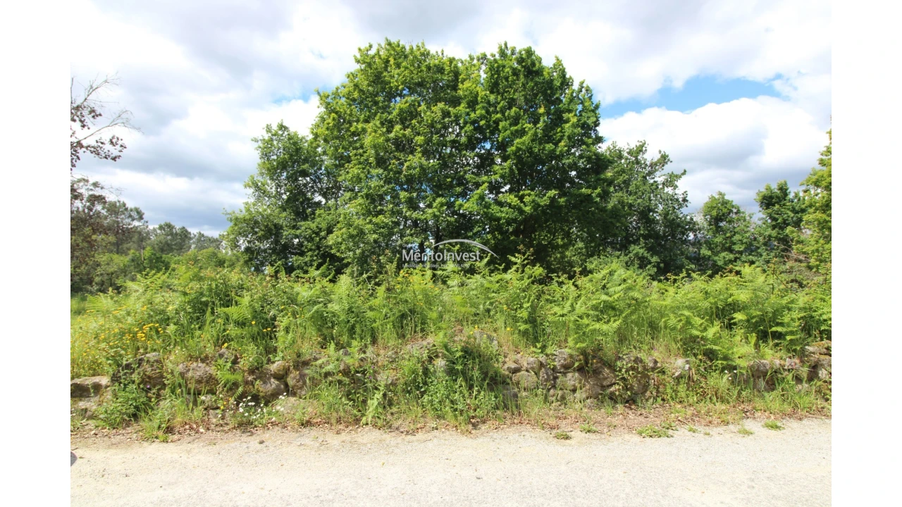 Terreno para Venda em Coucieiro Foto 7