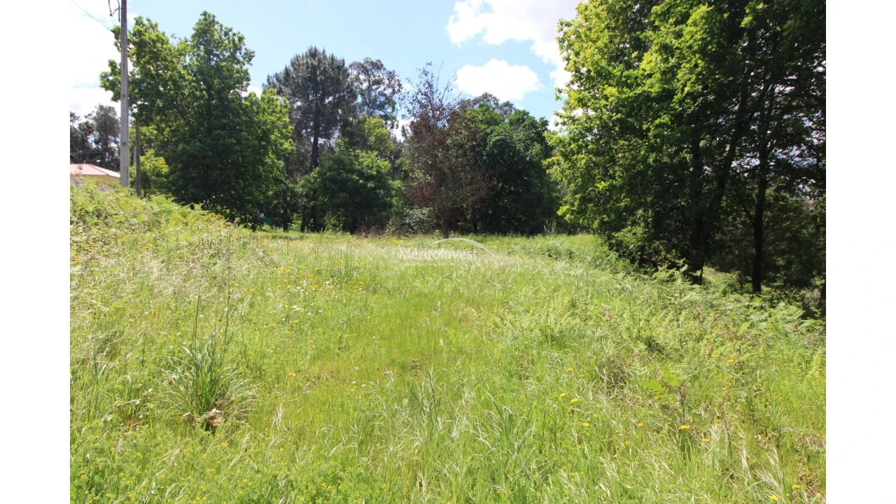 Terreno para Venda em Coucieiro Foto 2