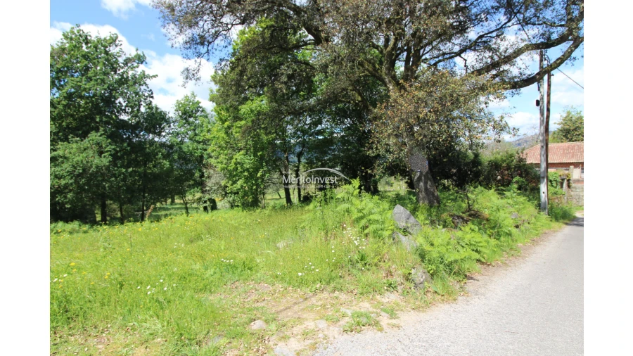 Terreno para Venda em Coucieiro Foto 9