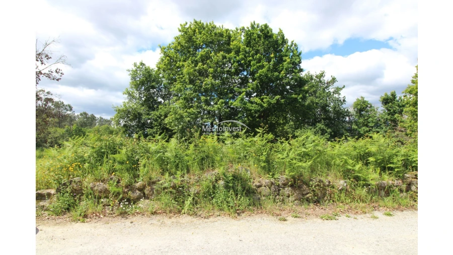 Terreno para Venda em Coucieiro Foto 7