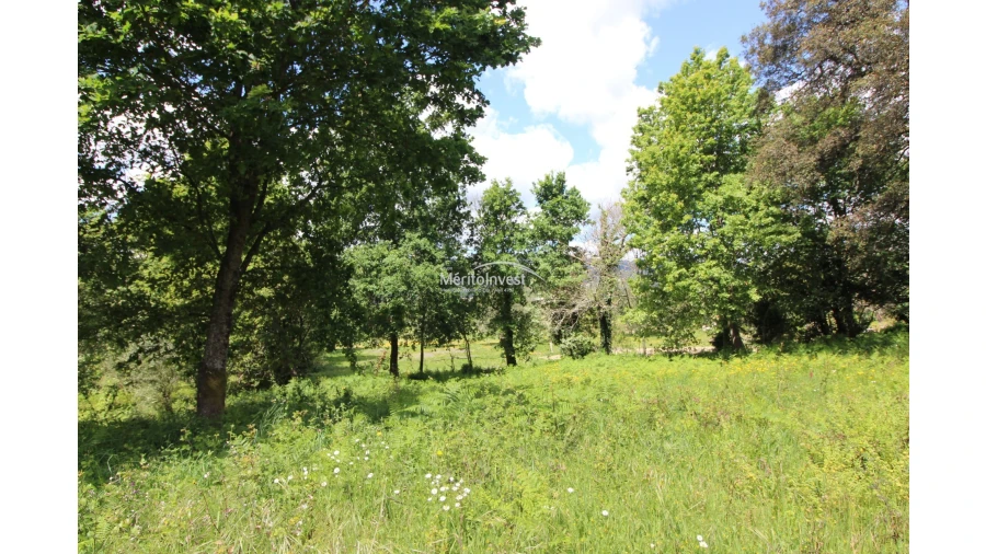 Terreno para Venda em Coucieiro Foto 5