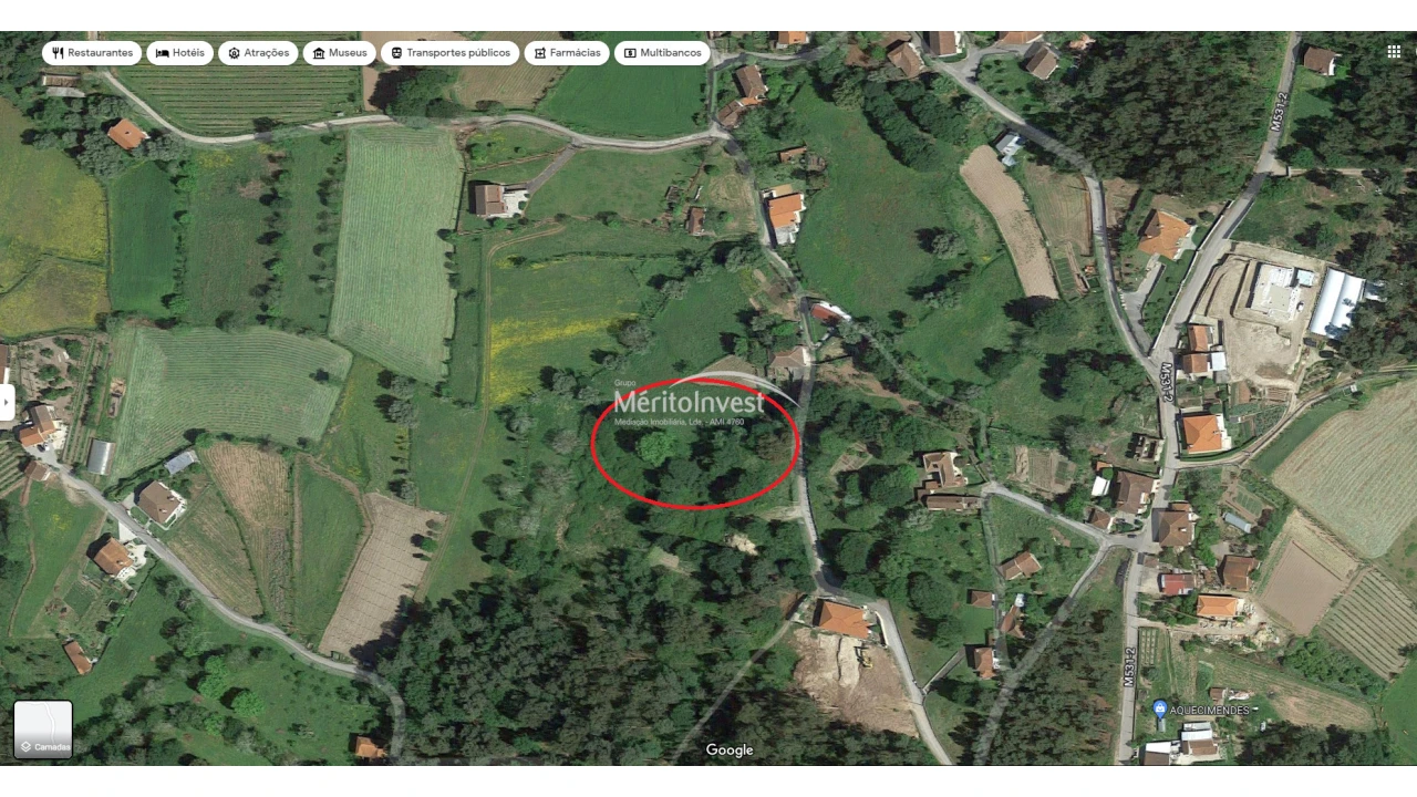 Terreno para Venda em Coucieiro Foto 4