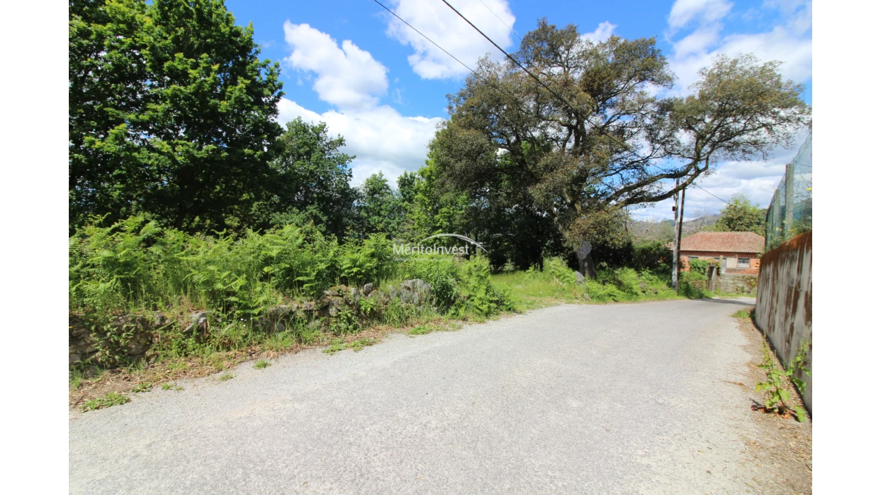 Terreno para Venda em Coucieiro Foto 11