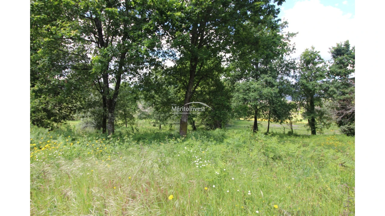 Terreno para Venda em Coucieiro Foto 3