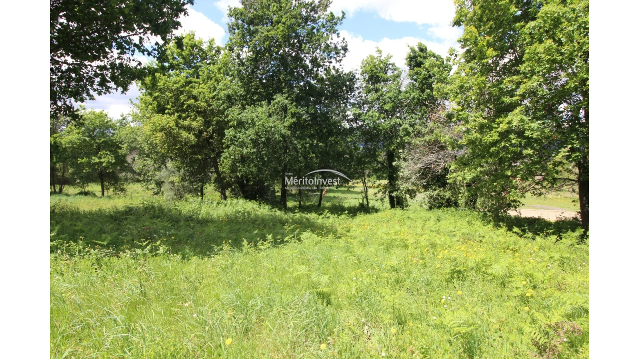Terreno para Venda em Coucieiro Foto 1
