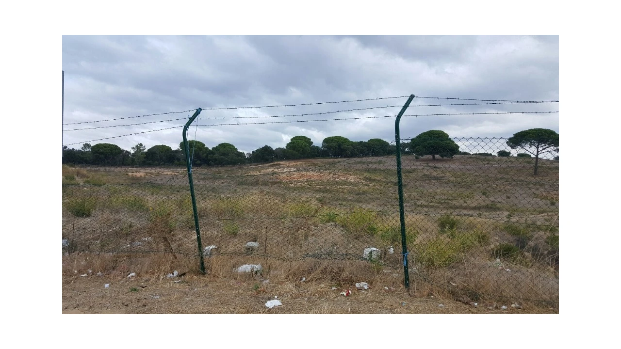 Terreno para Venda em Colares Foto 1