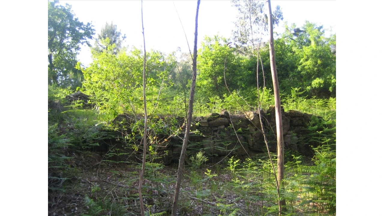 Terreno para Venda em Soajo Foto 5