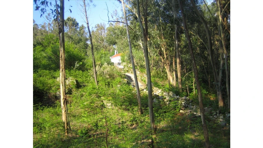 Terreno para Venda em Soajo Foto 6