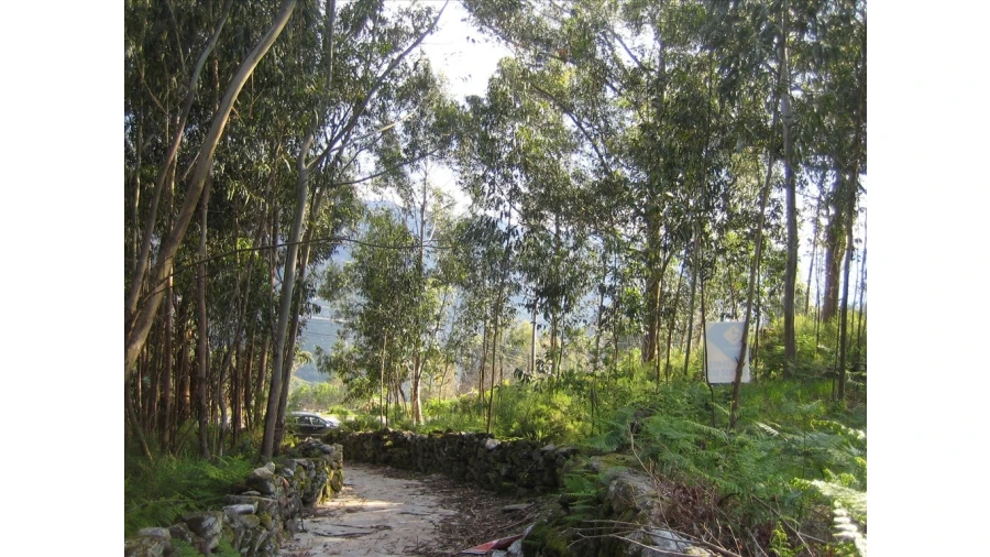 Terreno para Venda em Soajo Foto 7