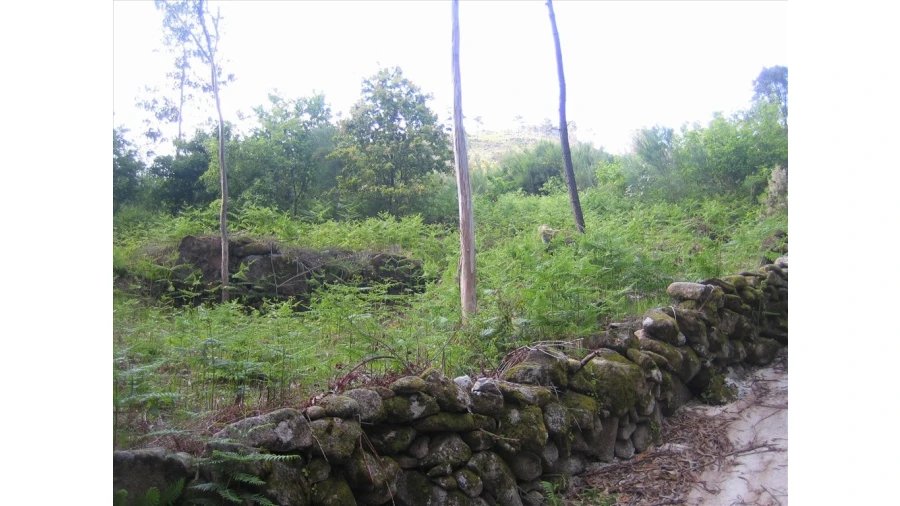 Terreno para Venda em Soajo Foto 3