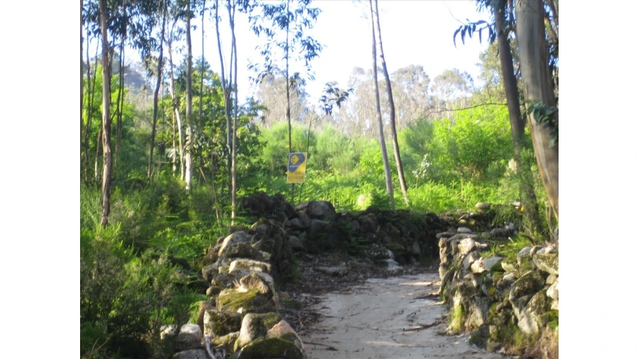 Terreno para Venda em Soajo Foto 2